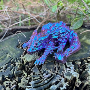 Fire Dragon