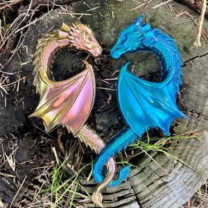Flying Dragon Heart