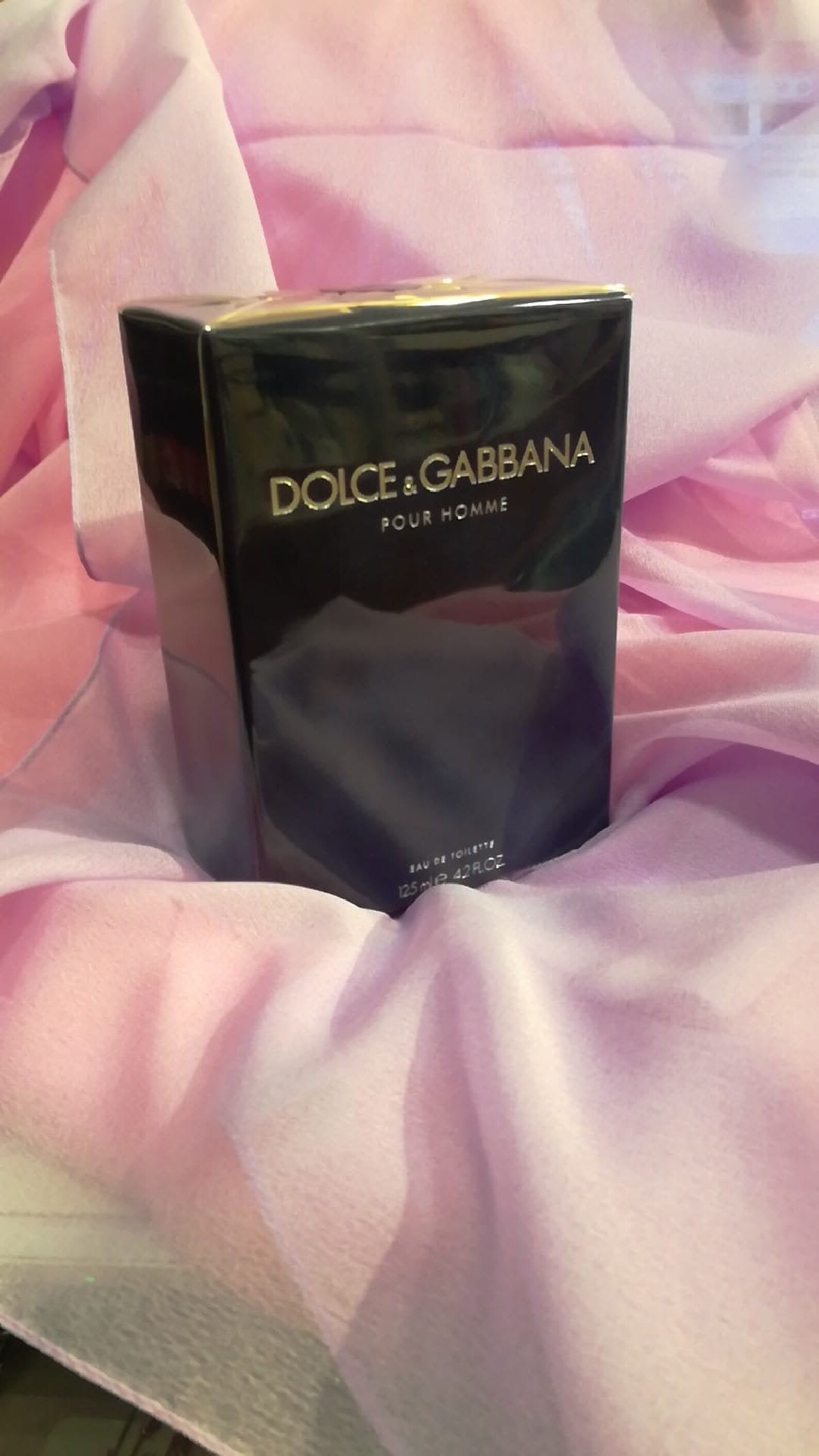 dolce & gabbana toilet