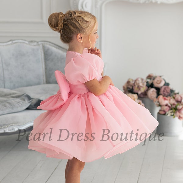 Baby Girl Dress Special Occasion, First Birthday Dress, Toddler princess dress, Girl Party dress, Girl ball gown, Pink flower girl dress