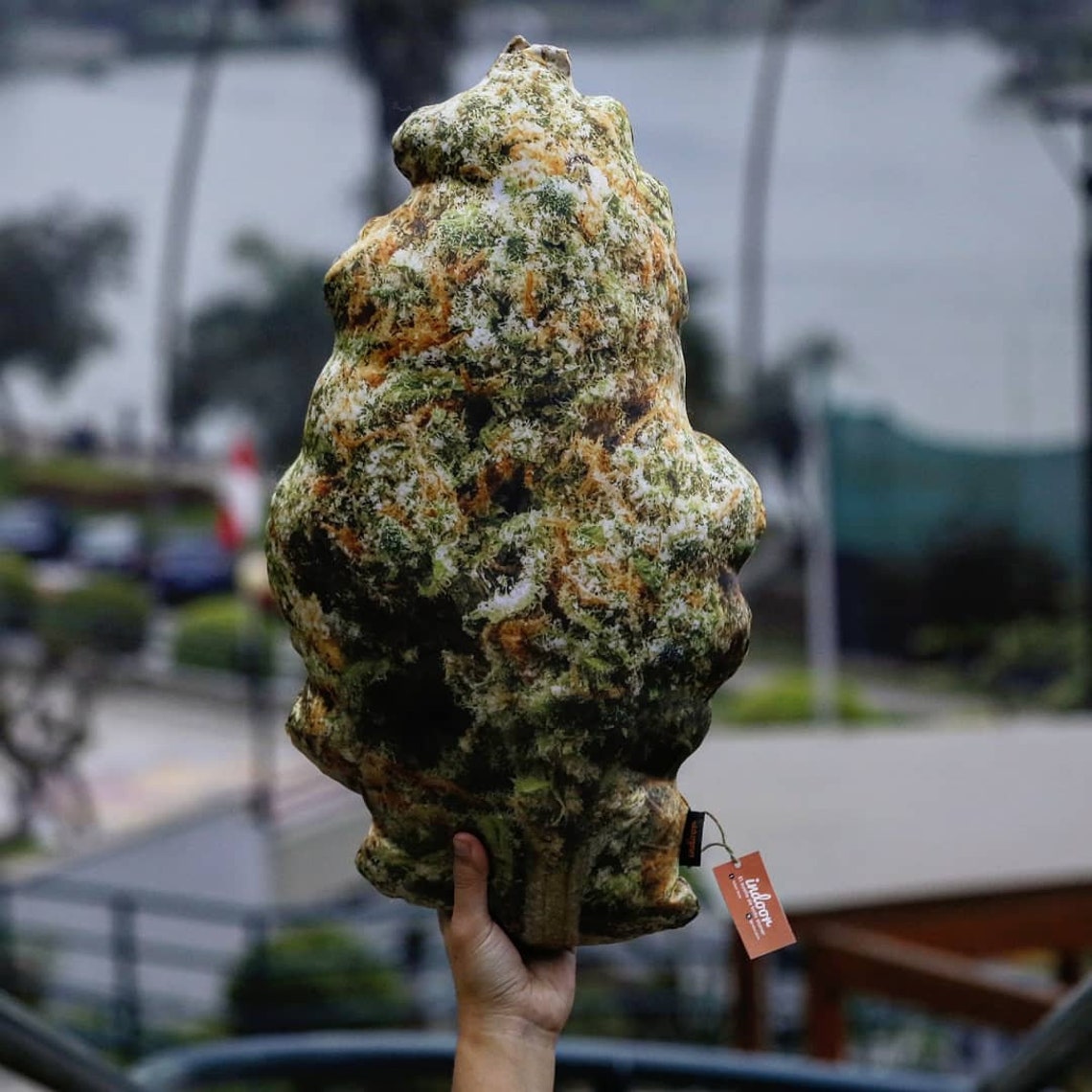 420 Blue Dream extra soft XL nug pillow. Perfect stoner Etsy