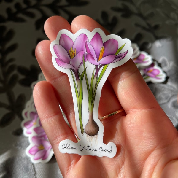 Colchicine (autumn crocus) - natural medicine vinyl sticker decal