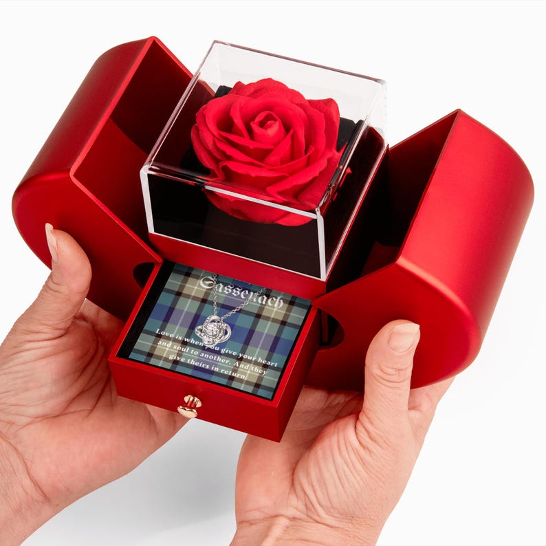Pode incluir: Uma caixa de joias vermelha com uma rosa vermelha preservada em uma caixa de acr&iacute;lico transparente. A caixa abre para revelar um colar em um cart&atilde;o xadrez. O colar tem um design de n&oacute;.