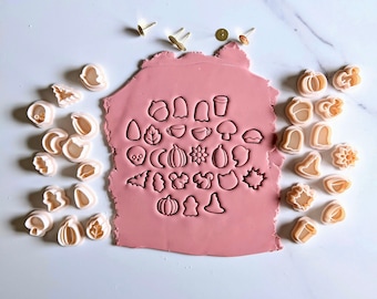 May include: A set of 30 small, white plastic cookie cutters with various fall-themed designs, including pumpkins, leaves, ghosts, and more. The cutters are arranged around a pink piece of clay.