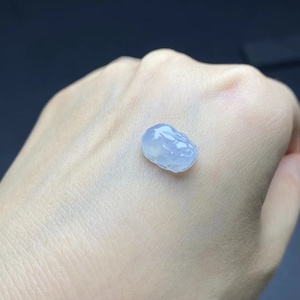 Könnte beinhalten: Ein hellblauer Jade-Anhänger, der in Form eines Fabelwesens geschnitzt ist. Der Anhänger ist glatt und poliert und weist komplizierte Details auf.