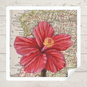 Pegatina de vinilo impermeable cuadrada con mapa vintage de hibisco rojo