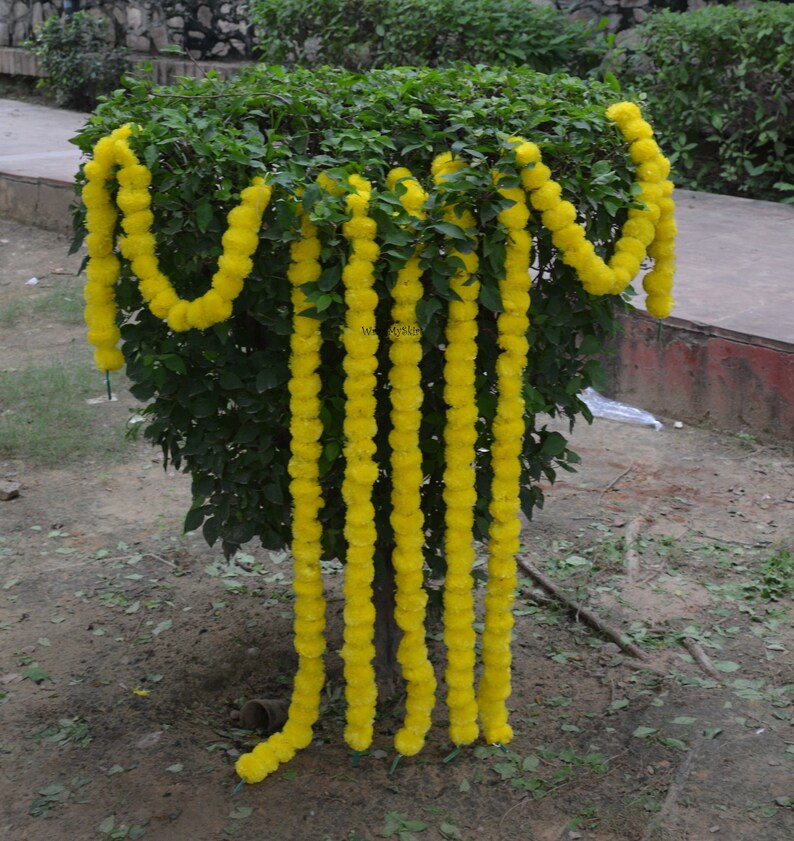 May include: A garland of yellow marigold flower blossoms strung together in a long strand. The garland is hanging from a bush.