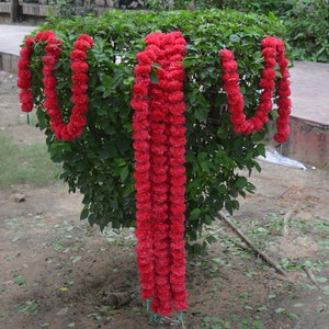 May include: Two red flower garlands made of marigold blossoms are draped around a green bush.