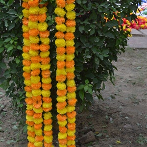 May include: A garland of yellow and orange marigold flowers, strung together in a long strand. The garland is hanging from a tree branch.