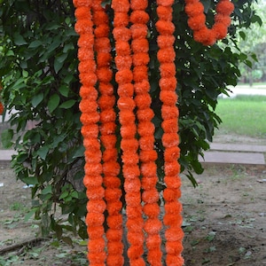 Könnte beinhalten: Hellorangefarbene Ringelblumen-Blütenketten hängen an einem Baum. Die Girlanden bestehen aus vielen kleinen, runden Blüten und sind vertikal aufgehängt. Der Hintergrund umfasst grünes Laub und eine grasbewachsene Fläche.