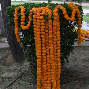 May include: A garland of orange marigold flowers, strung together in a long chain, hangs from a green bush. The garland is made of many small, round flowers, and it is a popular decoration for festivals and celebrations.