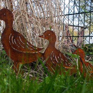 Peut inclure: Trois canards en m&eacute;tal rouill&eacute; dans un jardin. Les canards sont dispos&eacute;s en ligne, le plus grand canard &agrave; l'avant et le plus petit canard &agrave; l'arri&egrave;re. Les canards sont tous tourn&eacute;s dans la m&ecirc;me direction.