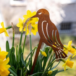 Vogel Stecker Blumen als Gartendeko - Trockenblumen - Edelrost - Gartenkunst - Gartenschmuck - Muttertag  Geschenk