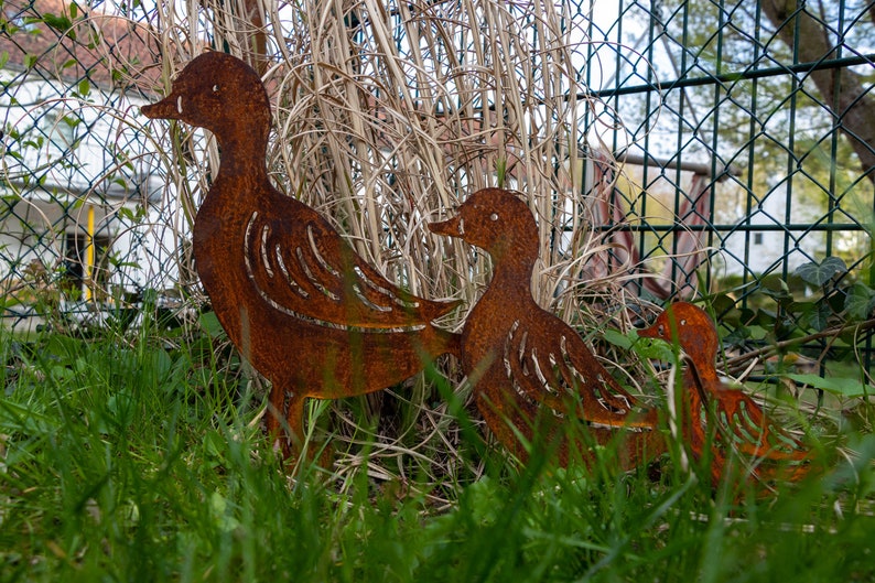 Peut inclure: Trois canards en m&eacute;tal rouill&eacute; dans un jardin. Les canards sont dispos&eacute;s en ligne, le plus grand canard &agrave; l'avant et le plus petit canard &agrave; l'arri&egrave;re. Les canards sont tous tourn&eacute;s dans la m&ecirc;me direction.