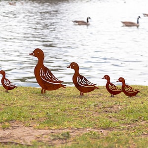 Peut inclure: Cinq silhouettes de canards en m&eacute;tal de diff&eacute;rentes tailles sont dispos&eacute;es sur une zone herbeuse pr&egrave;s d'un plan d'eau. Les canards sont de couleur brun rouille et font face au c&ocirc;t&eacute; droit de l'image. Les canards sont positionn&eacute;s en ligne, le plus grand canard &agrave; l'arri&egrave;re et le plus petit canard &agrave; l'avant.