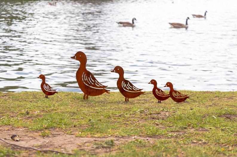 Peut inclure: Cinq silhouettes de canards en m&eacute;tal de diff&eacute;rentes tailles sont dispos&eacute;es sur une zone herbeuse pr&egrave;s d'un plan d'eau. Les canards sont de couleur brun rouille et font face au c&ocirc;t&eacute; droit de l'image. Les canards sont positionn&eacute;s en ligne, le plus grand canard &agrave; l'arri&egrave;re et le plus petit canard &agrave; l'avant.