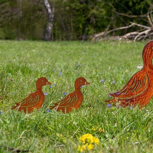 Peut inclure: Trois silhouettes de canards en m&eacute;tal rouill&eacute; dans un champ herbeux. Les canards sont tourn&eacute;s vers la droite et sont dispos&eacute;s en ligne, le plus grand canard &agrave; l'arri&egrave;re et les deux plus petits canards &agrave; l'avant. Les canards sont de couleur brun rouge&acirc;tre et ont un aspect vieilli et rouill&eacute;.