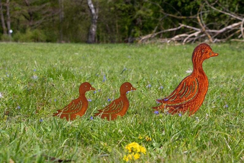 Peut inclure: Trois silhouettes de canards en m&eacute;tal rouill&eacute; dans un champ herbeux. Les canards sont tourn&eacute;s vers la droite et sont dispos&eacute;s en ligne, le plus grand canard &agrave; l'arri&egrave;re et les deux plus petits canards &agrave; l'avant. Les canards sont de couleur brun rouge&acirc;tre et ont un aspect vieilli et rouill&eacute;.