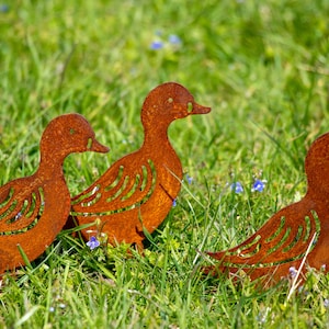 Peut inclure: Trois silhouettes de canards en m&eacute;tal rouill&eacute; dans un champ herbeux. Les canards sont tourn&eacute;s dans des directions diff&eacute;rentes et sont d&eacute;coup&eacute;s dans un design simple.