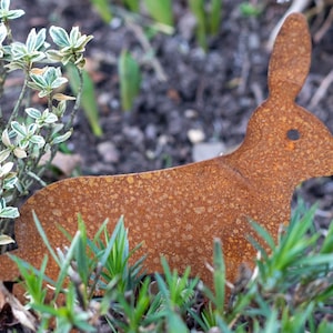 Könnte beinhalten: Eine rostige Metall-Hasenskulptur in einer Gartenlandschaft. Der Hase ist von grünem Gras und kleinen Pflanzen umgeben.