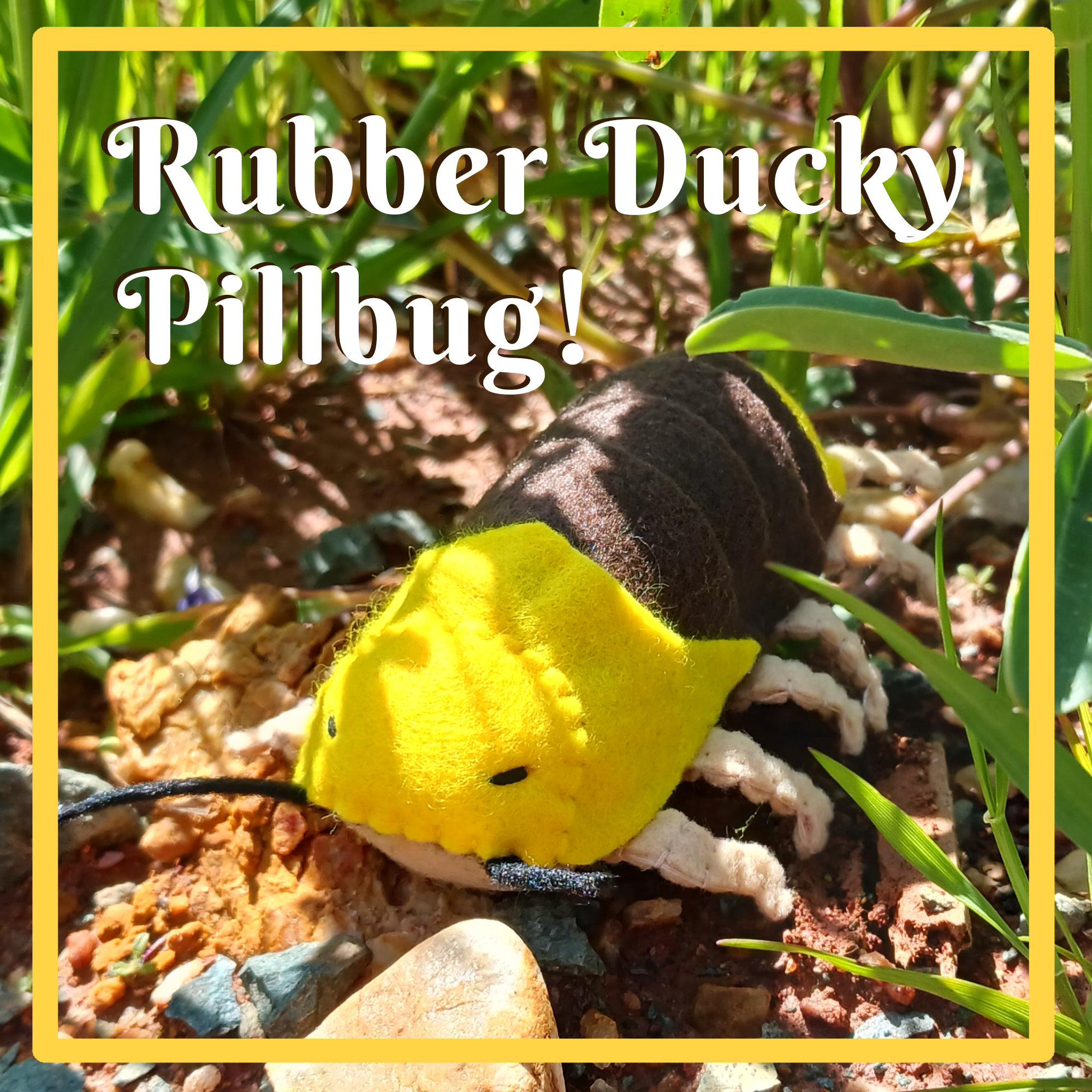 Rubber Ducky Rolly Polly/pillbug/sowbug Felt Plush Handmade and Poseable Etsy