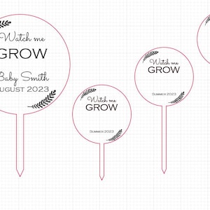 May include: A set of four pink and white circular signs with the text "Watch me GROW". The largest sign includes "Baby Smith AUGUST 2023". The smaller signs say "SUMMER 2023". Each sign has a stem.