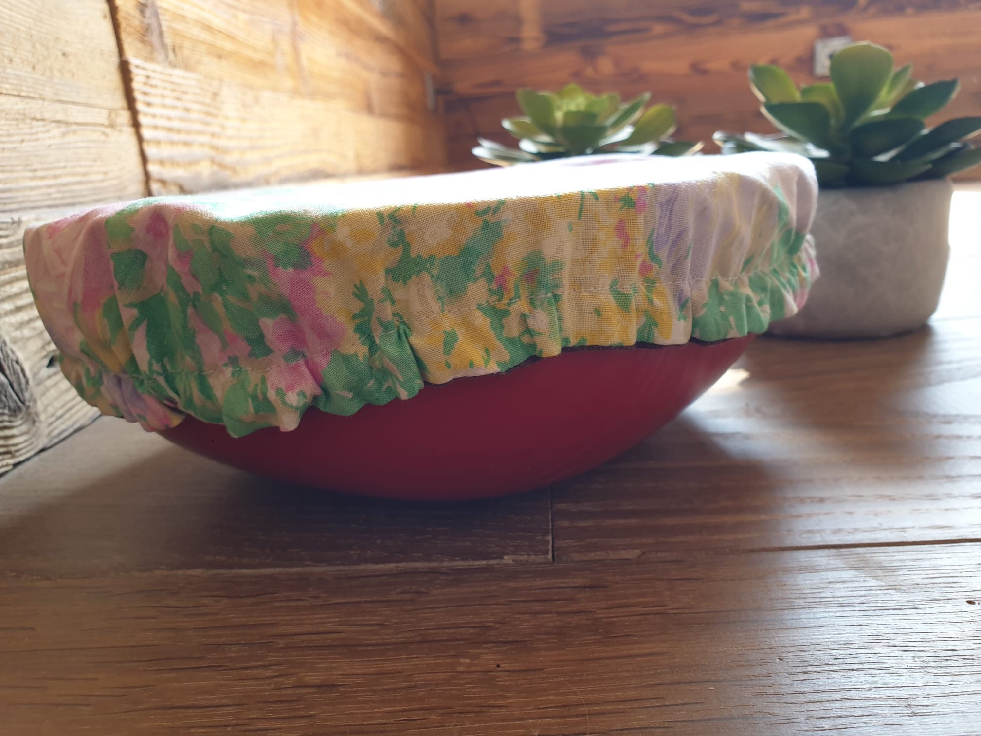 Charlotte à Saladier