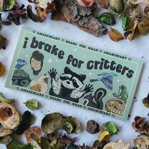 以下が含まれることがあります： 白い文字で「i brake for critters」と書かれた緑色のステッカー。ステッカーには、アライグマ、リス、カメ、鳥、カエル、ヘビが描かれています。「Amaschiart」と「Share the Road」の文字もステッカーに含まれています。
