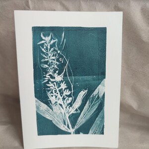 Impression de plantes cartographiques