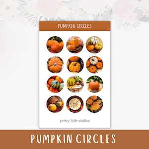 Pumpkin Aesthetic Circle Sticker Sheets - Bullet Journal Stickers - Planner Stickers - Autumn Stickers - Aesthetic Stickers - Pumpkins
