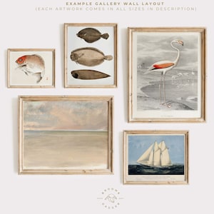 Coastal Wall Art BUNDLE | Vintage Ship Art | Vintage Fish Art | Neutral Beach Art | Flamingo Wall Art | Ocean Wall Art | Beachy Wall Art B02