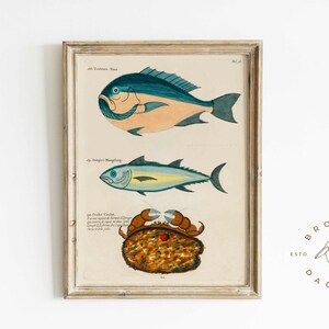 Vintage Fish Art Painting | Wall Art Printable | Fish Art | Classy Printable Wall Art | Tropical wall art | Light Academia Art | 0140