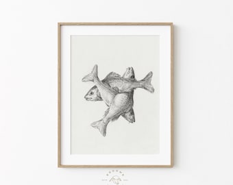 Vintage Fish Art Black and White Fish Sketch | Beachy Wall Art | Neutral Wall Art | Coastal Wall Art | Fish Black and White Wall Art | 0192