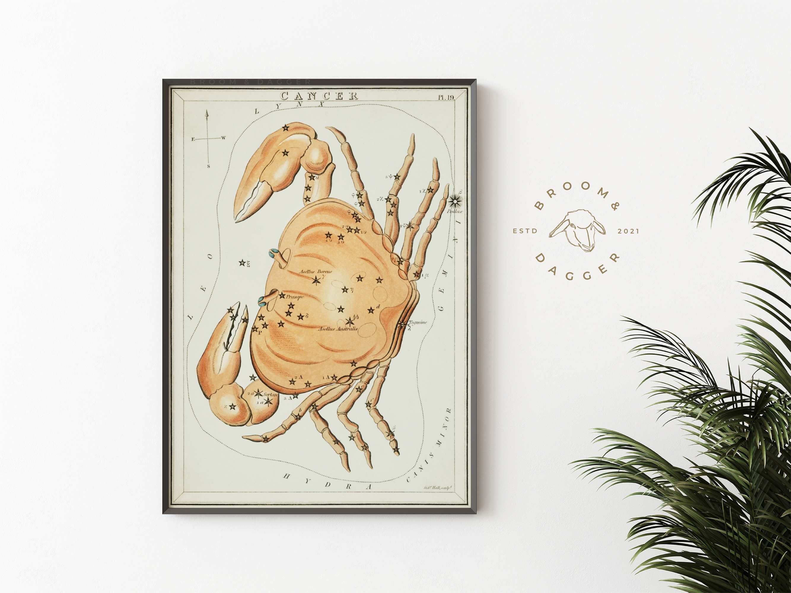 Vintage Cancer Zodiac Art | Beachy Wall Art | Printable Art Astrology ...