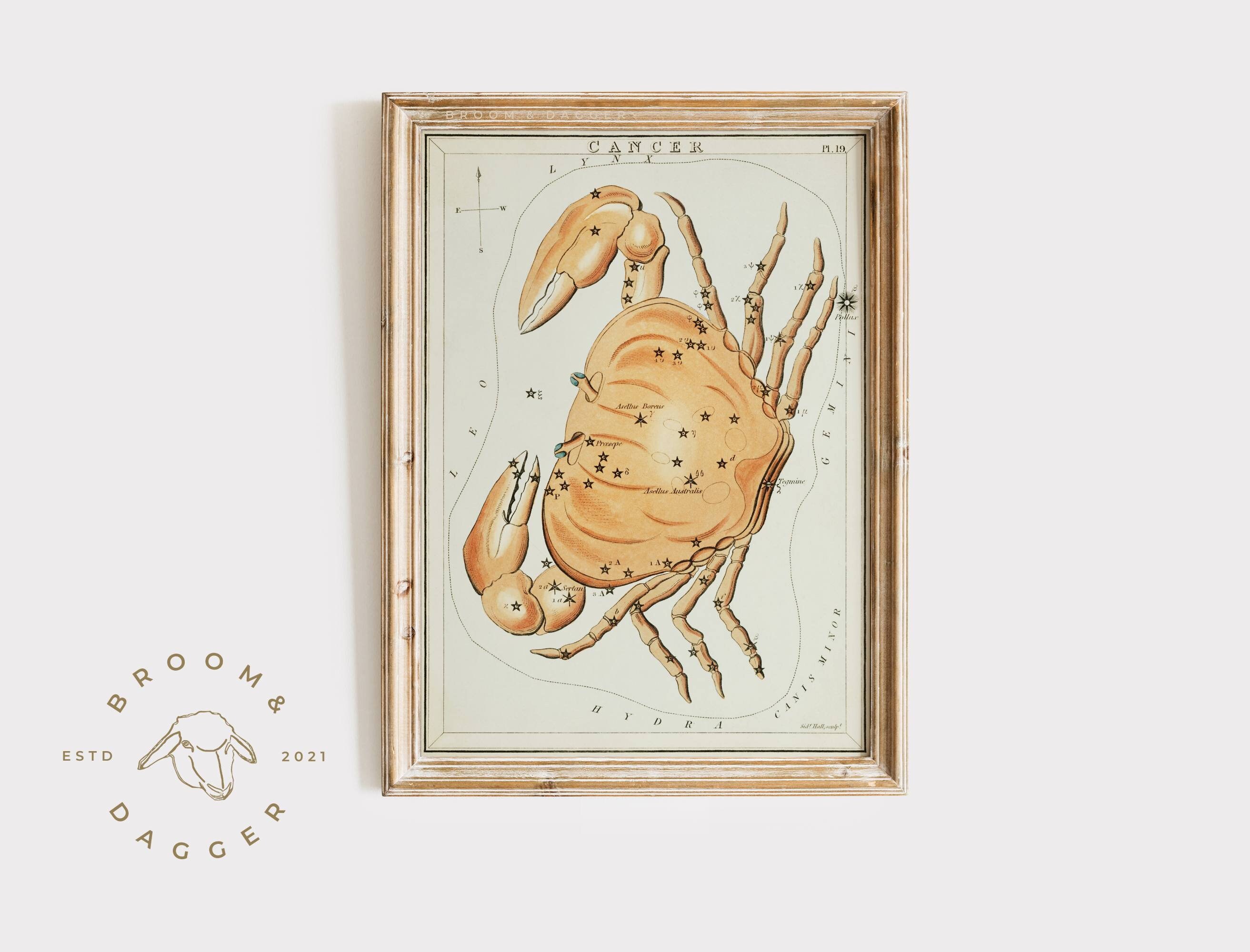 Vintage Cancer Zodiac Art | Beachy Wall Art | Printable Art Astrology ...