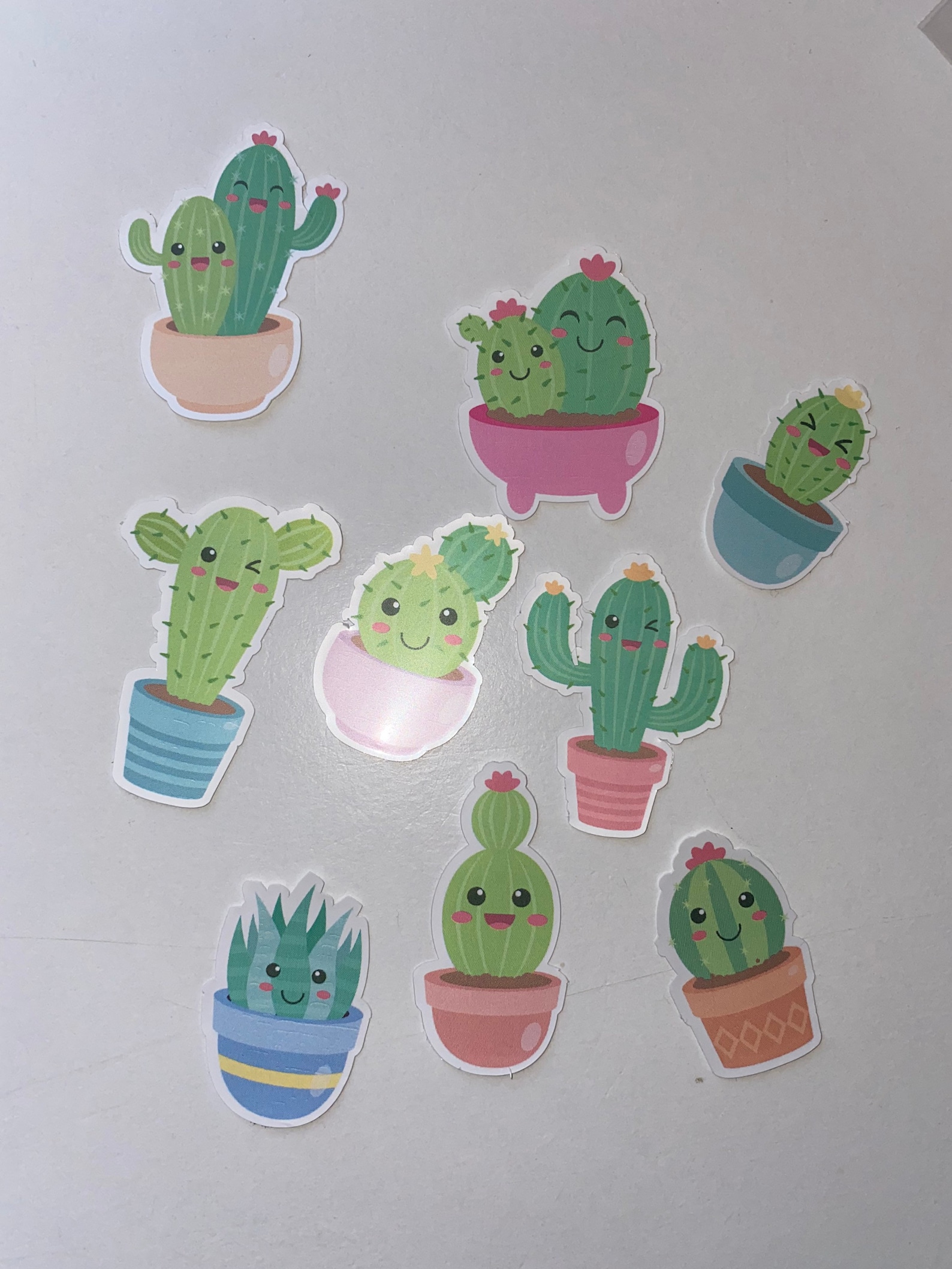 Cactus Sticker Set Cacti Sticker Pack Cute Cactus Stickers Etsy
