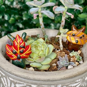 Adopt a Korok mystery bundle, beautiful Fall Colors personalized Korok figures, Legend of Zelda characters, Bundle 3 Koroks and save!