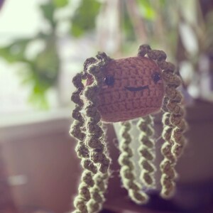 Curly vine crochet hanging plant pattern