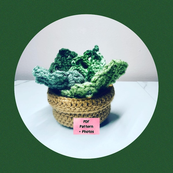 Monstera Coaster/Potted Succulent Crochet Pattern - Pictures included
