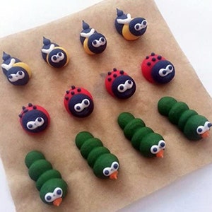 Può includere: Una collezione di decorazioni per biscotti in crema al burro dipinte a mano, con coccinelle, api e bruchi. Le decorazioni sono su carta da forno marrone.