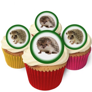 24 Hedgehog Toppers - Commestibili, Pre Cut e Made in the UK