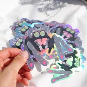 Jumping Spider Sticker- Holographic Spider Sticker - Etsy