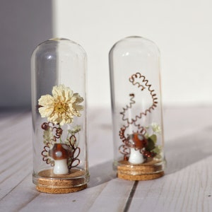 Miniature Terrarium - Mushroom and Daisies