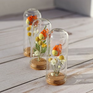 Miniature Terrarium - Fish Friends