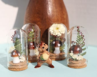 May include: Four glass dome terrariums with cork bases, each containing a miniature mushroom and various dried botanicals, including ferns, leaves, and flowers. A small ceramic squirrel figurine holding a green acorn is in the center.