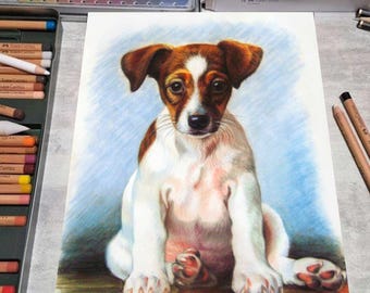 Op de afbeelding: Gekleurde potloodtekening van een Jack Russell Terrier puppy. De puppy is wit met bruine aftekeningen en zit met zijn voorpoten naar voren. De tekening staat op wit papier, met kleurpotloden en pastels op de achtergrond.
