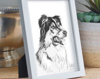 Retrato de mascota a carboncillo dibujado a mano: boceto personalizado de perro y gato