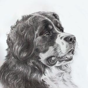 Custom Dog Drawing from Photo Original hand drawn portrait commission sketch from photo charcoal drawing pet memory gift realistic drawing