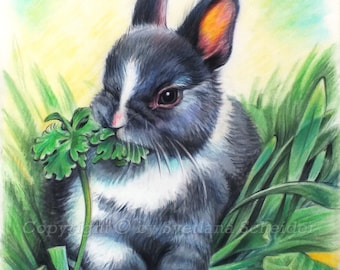 Bunny Painting Easter Hare Original Art Soft Pastel Drawing 12by16 Rabbit Pet Portrait Pastel Artwork  Easter Wall Art by SvetlanaSartStudio