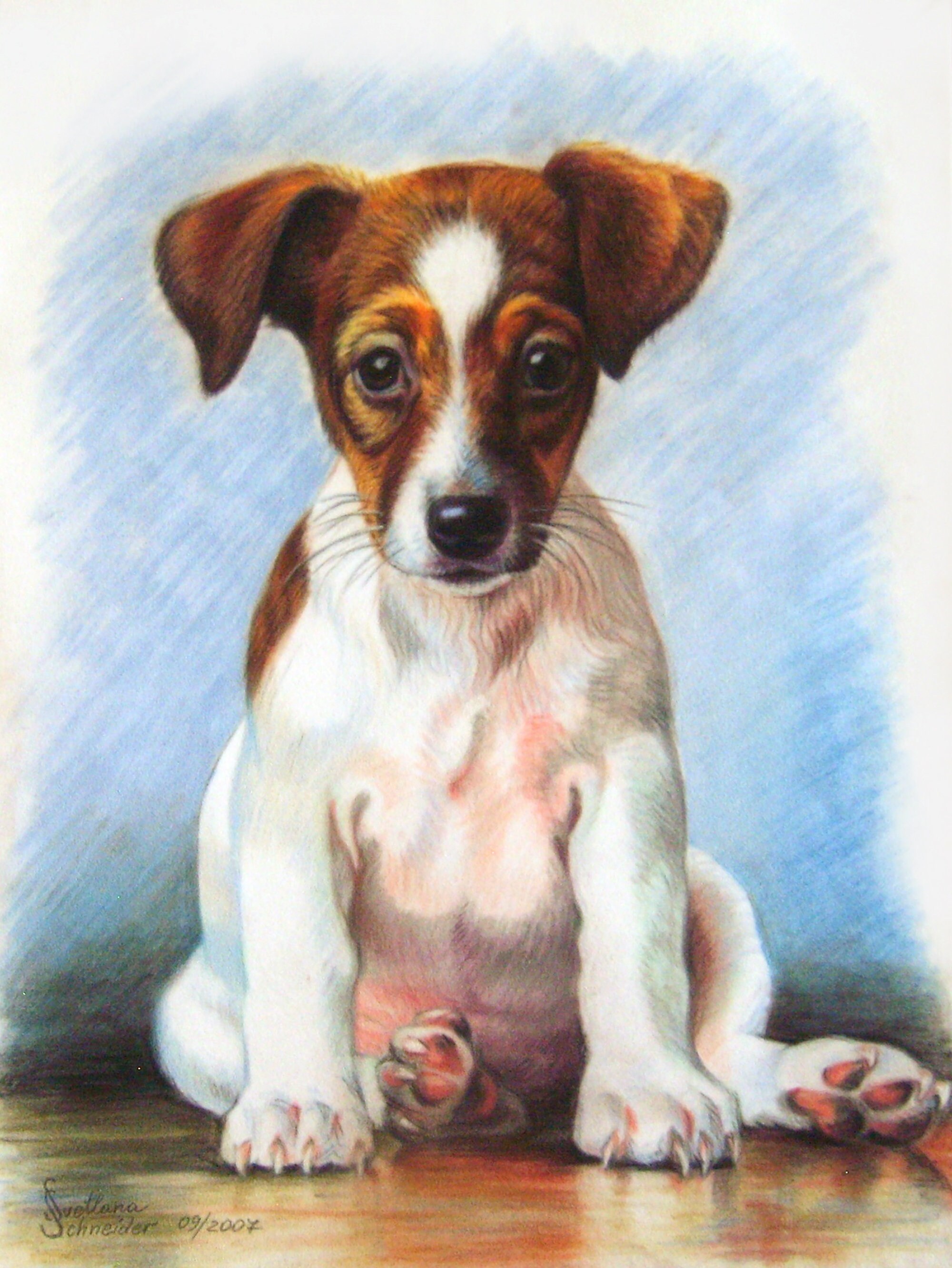 ottogi cheese hot dog